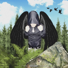 Heartshadder - Raven