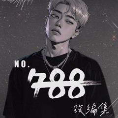 韦礼安 - 如果可以 (NO.788 Remix)