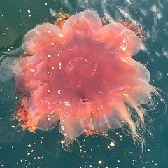 closer to you: unfinished: kanyes version