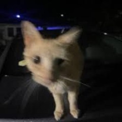 Ransom (Sky Version)