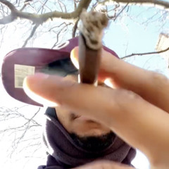 Deadly FreeStyle