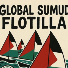 15 Irish Citizens Detained By Israel Aboard Gaza Flotilla Released And On The Way Home