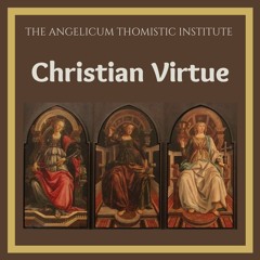 Christian virtue: Faith | Michael Sherwin O.P