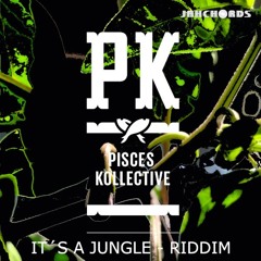 It´s A Jungle Riddim EP(Remix) feat. A1Ryda, Carb and Lady EMZ