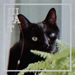 УСЕ ОСЬYО - ТИШКОМ-НИШКОМ