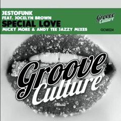 Jestofunk Feat. Jocelyn Brown - Special Love (Micky More & Andy Tee Jazzy Radio)