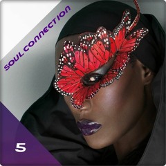 SOULFUL HOUSE CONNECTION 5