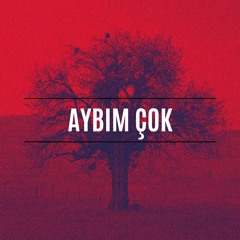 AYBIM ÇOK