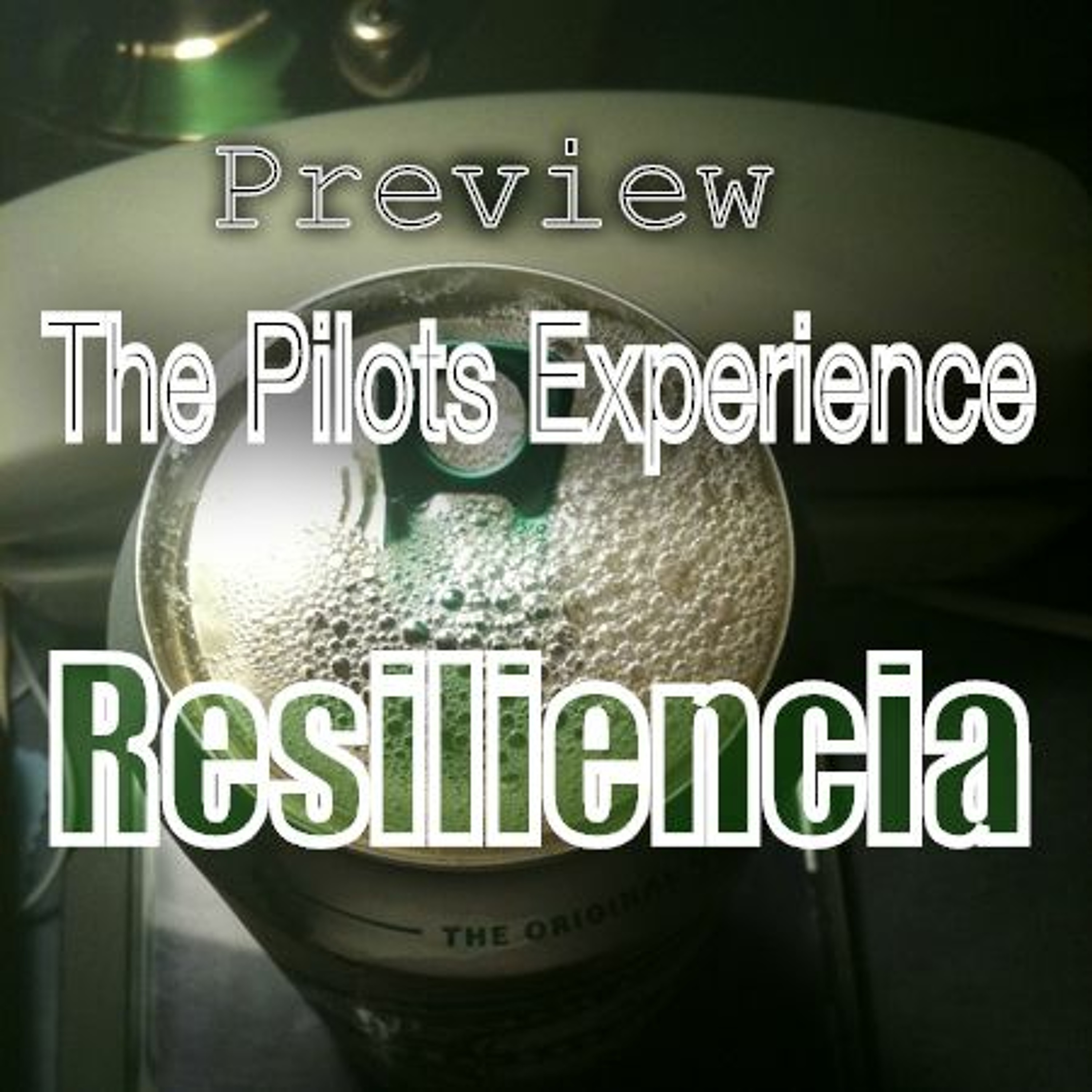 The Pilots Experience