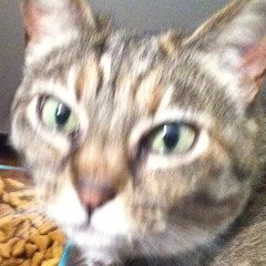 drinking is the best way that I've found