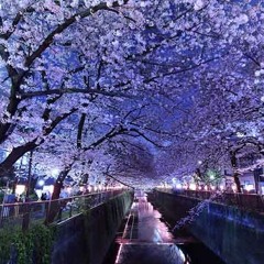 Kiryano - Bitter Taste (Extended)