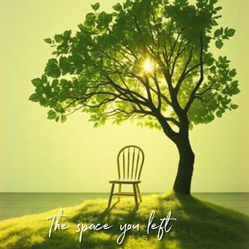 The Space You Left