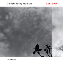 Æ Rømeser (Arr. Danish String Quartet)