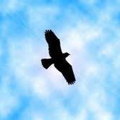 FREE AS A BIRD(DEMO)