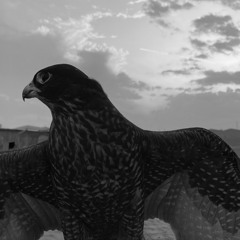 جيتك دخيل الحب وانا زبونك ♡