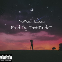 NoWayHoSay (Prod. By: That1DudeT)