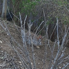 no prospects (prod. igotswog)