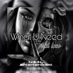 What You Need