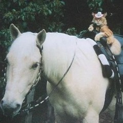 Another Private Mountain Love By Two Unknown Horsemen