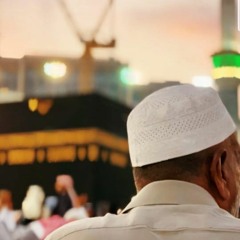 إِن يُرِدْنِ الرَّحْمَٰنُ بِضُرٍّ لَّا تُغْنِ عَنِّي شَفَاعَتُهُمْ | القارئ أحمد النفيس