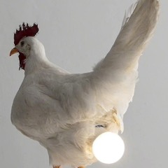 why can't you see, cindy