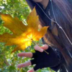 мятая футболка