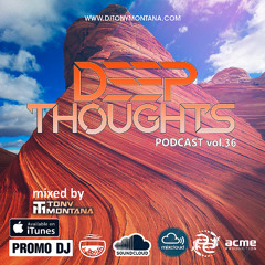 Deep Thoughts podcast # 36 with Dj Tony Montana 31.01.2025