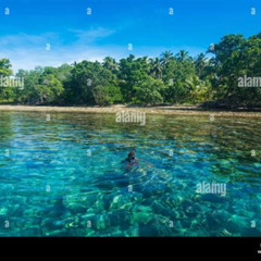 Best Snorkeling In Papua New Guinea Prices Reviews