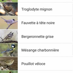 Ambiancefleuvemeuse