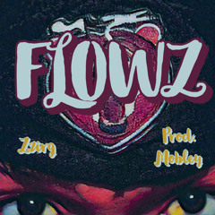 Flowz- Zzirg (prod.mobley)