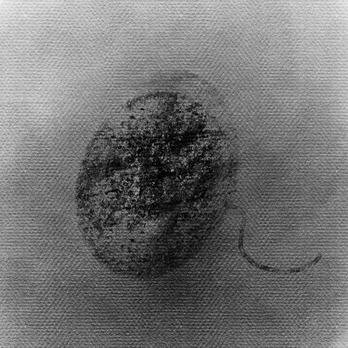 TADPOLE (pro. Sagekwon)