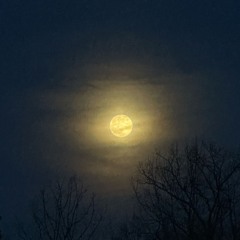 All or Nun (prod. Purc)