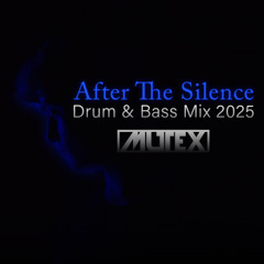 After The Silence | High Energy Drum & Bass Mix 2025