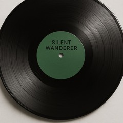 Silent Wanderer Chapter V