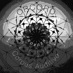Corpus Auditive e ORCORO - Looking down