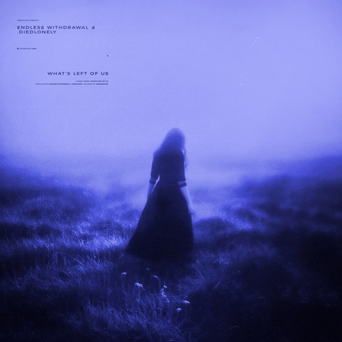 endless withdrawal & .diedlonely - what's left of us