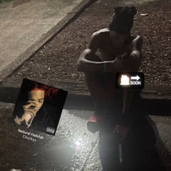 reaperfrmda3 x noluvhook x 1ilwizzard - shootin frm da 3