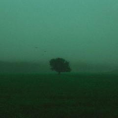 agony (72 toro remake)