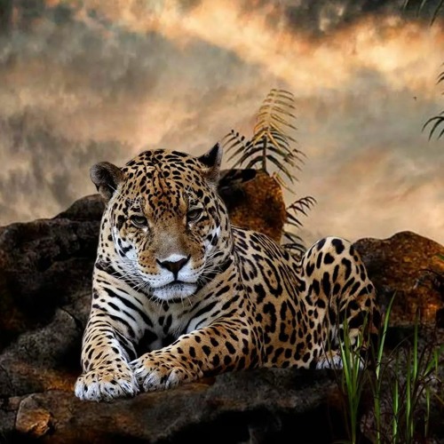 ~Mystiq~ ;) Have a Good SunDayyy...