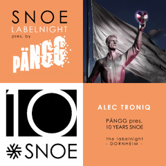 SNOE Affairs LIVE // Alec Troniq DJ-Set  - 10 Years of SNOE at Paengg Wuerzburg - May 2025