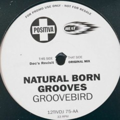 Natural Born Grooves - GROOVEBIRD (Døc's Revisit) (Free Download)