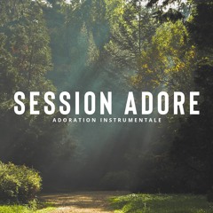 Session Adore - Interlude - Bruno Picard