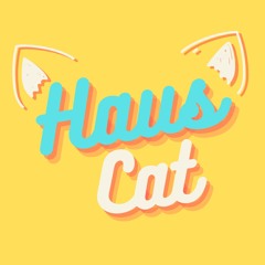 Kitty / We You (Haus Cat bootleg mashup remix) Presidents, Adam Ten, Super Flu