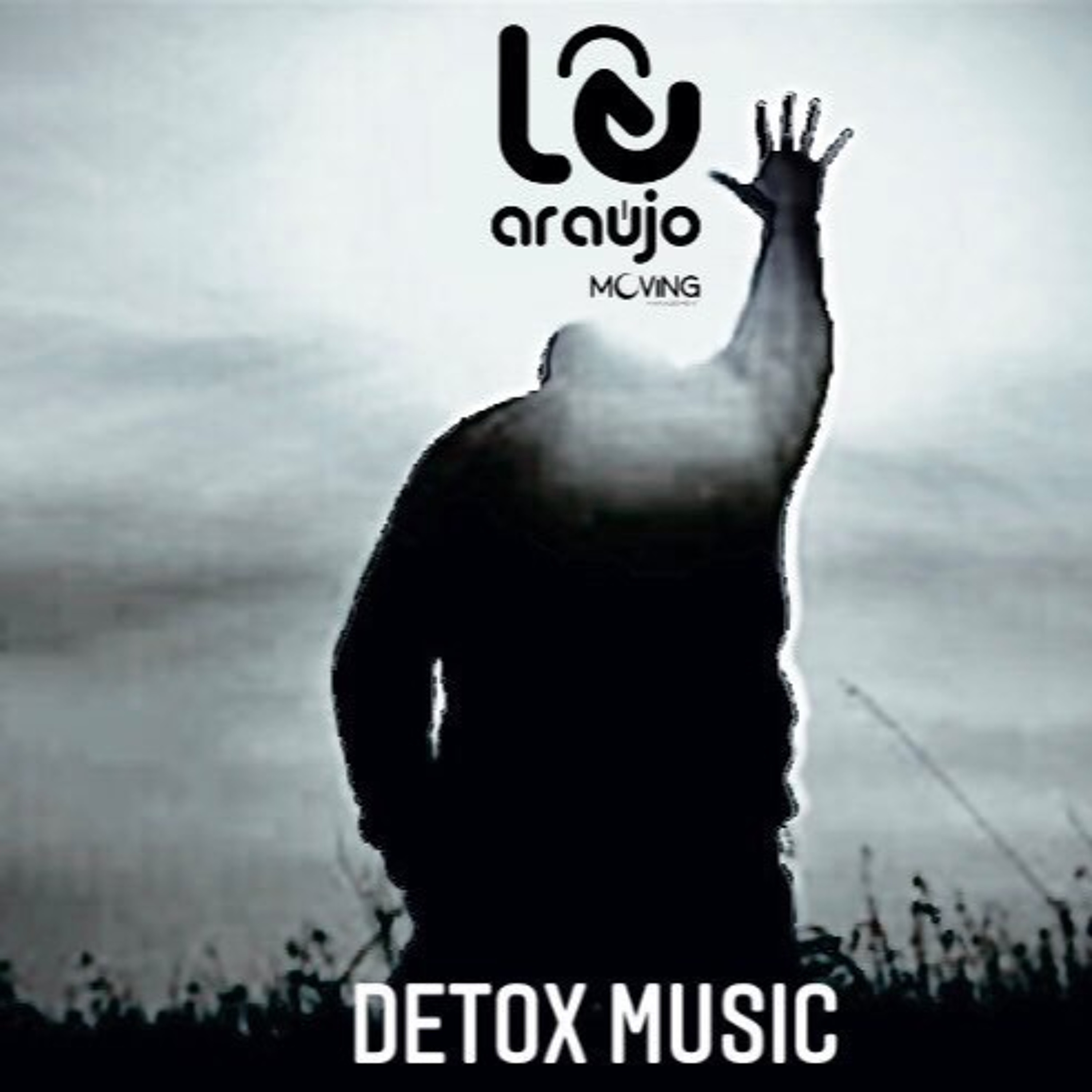 Detox Music By DJ Le Araujo episode artwork