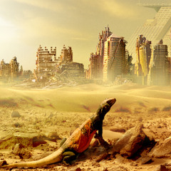 - DNA - summer 2k21 22