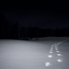WAITINGFORTHESNOW prod t