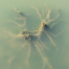 hennessey - Low Water Mark [202]