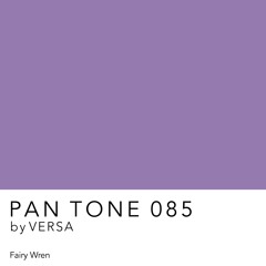 PAN TONE 085 | by VERSA