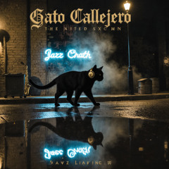 SOY UN GATO CALLEJERO TOCANDO JAZZ