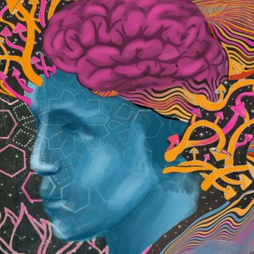 goamos - correct calculation